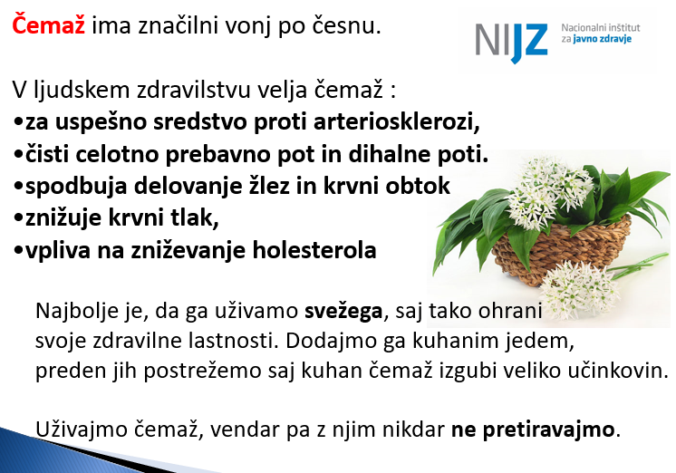 ČEMAŽ_PRISPEVEK NIJZ.png